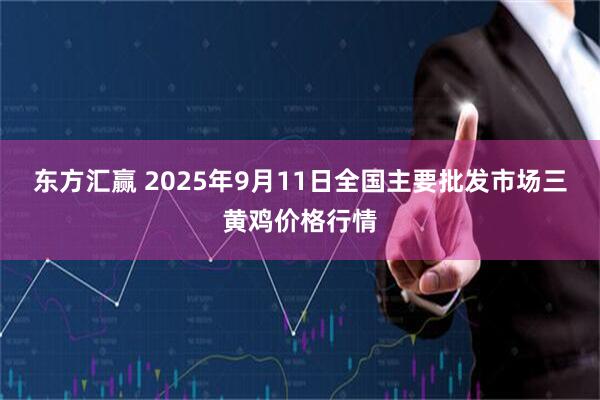 东方汇赢 2025年9月11日全国主要批发市场三黄鸡价格行情