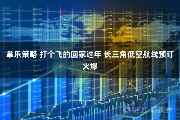 掌乐策略 打个飞的回家过年 长三角低空航线预订火爆