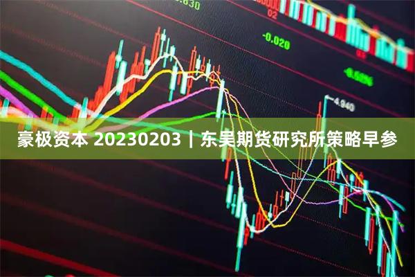 豪极资本 20230203｜东吴期货研究所策略早参