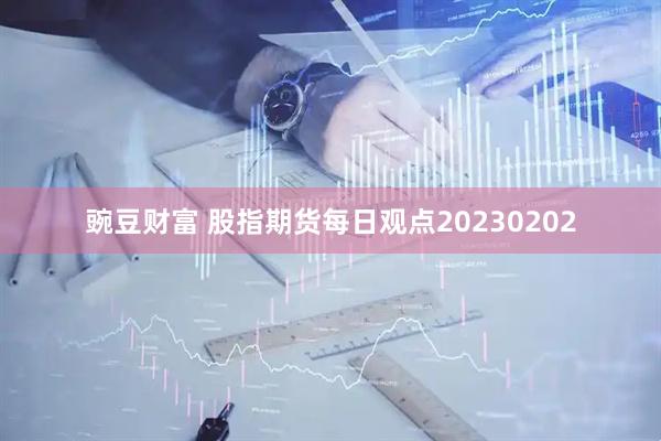 豌豆财富 股指期货每日观点20230202